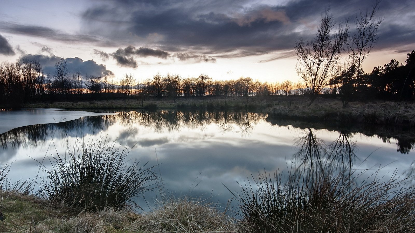 Обои трава, деревья, озеро, закат, отражение, пейзаж, grass, trees, lake, sunset, reflection, landscape разрешение 1920x1200 Загрузить