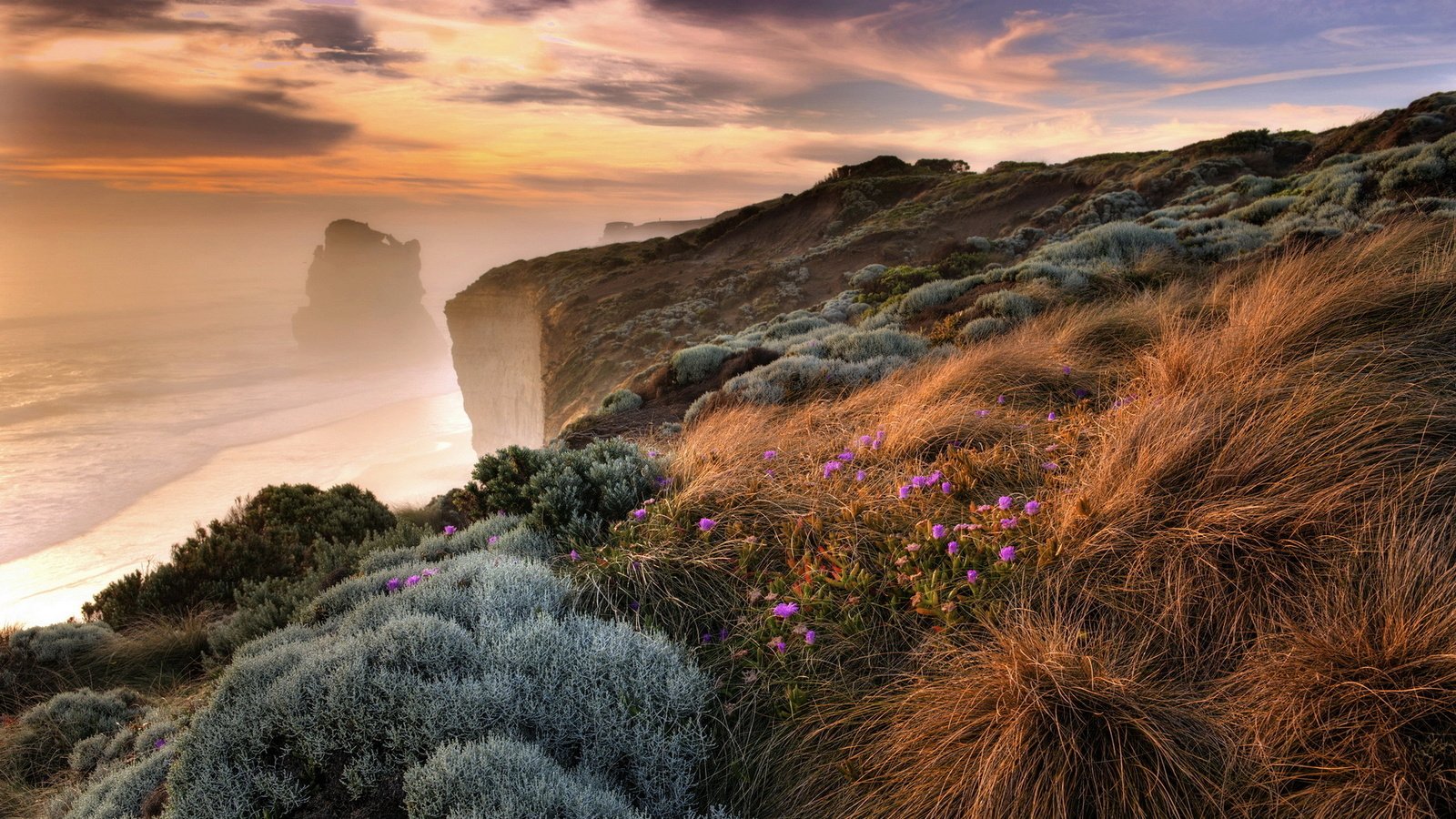 Обои цветы, трава, скалы, берег, море, туман, побережье, обрыв, flowers, grass, rocks, shore, sea, fog, coast, open разрешение 1920x1200 Загрузить