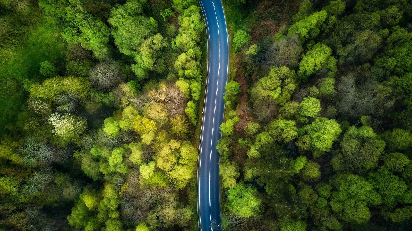 Обои дорога, деревья, природа, лес, вид сверху, road, trees, nature, forest, the view from the top разрешение 2048x1532 Загрузить