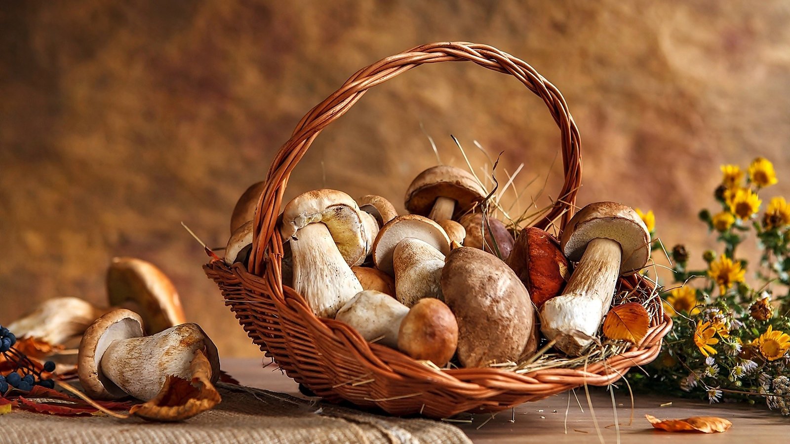 Обои цветы, грибы, белый, корзина, шляпки, flowers, mushrooms, white, basket, hats разрешение 1920x1200 Загрузить