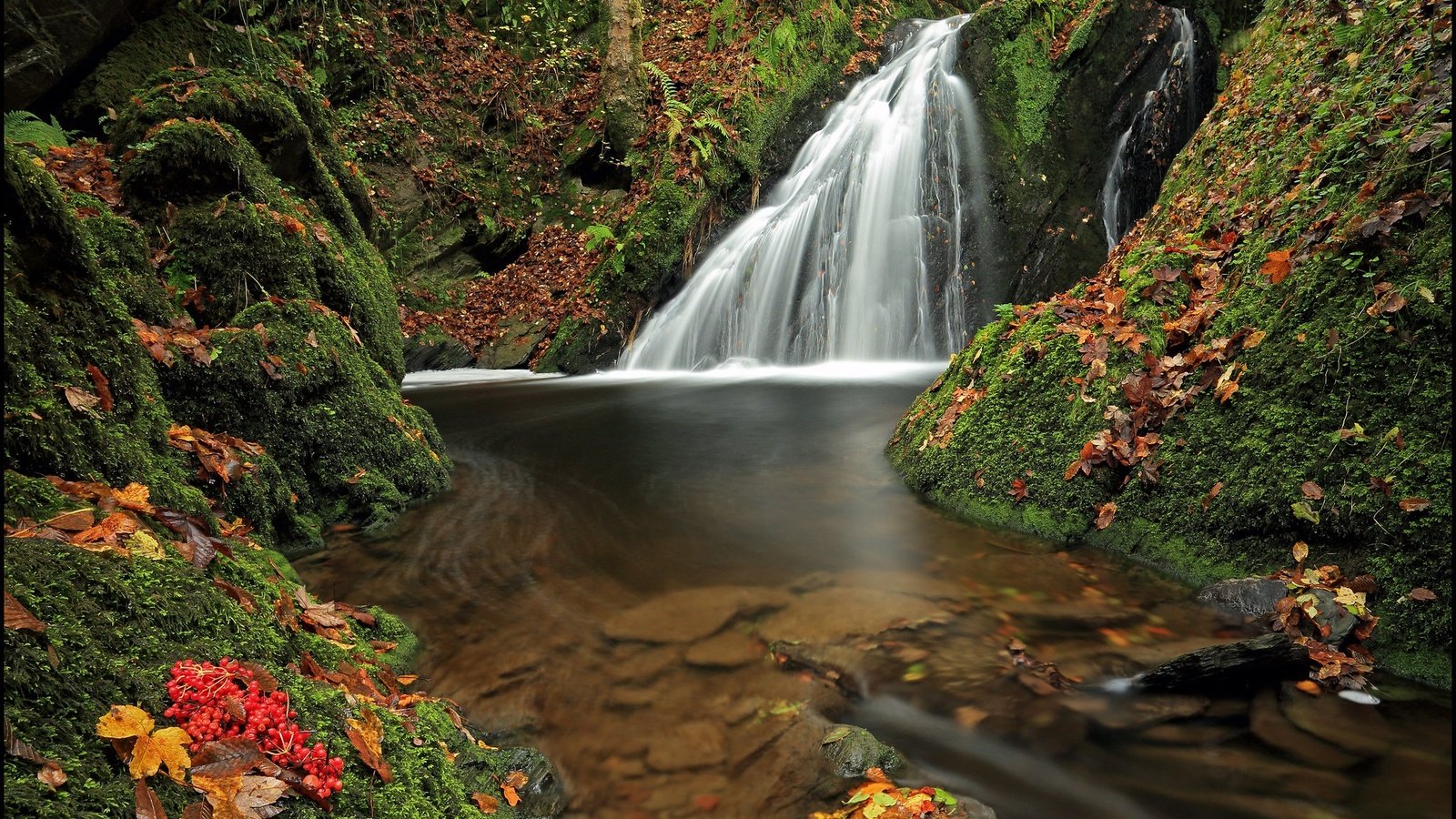 Обои лес, листья, водопад, осень, мох, германия, рейнланд-пфальц, forest, leaves, waterfall, autumn, moss, germany, rhineland-palatinate разрешение 2048x1294 Загрузить