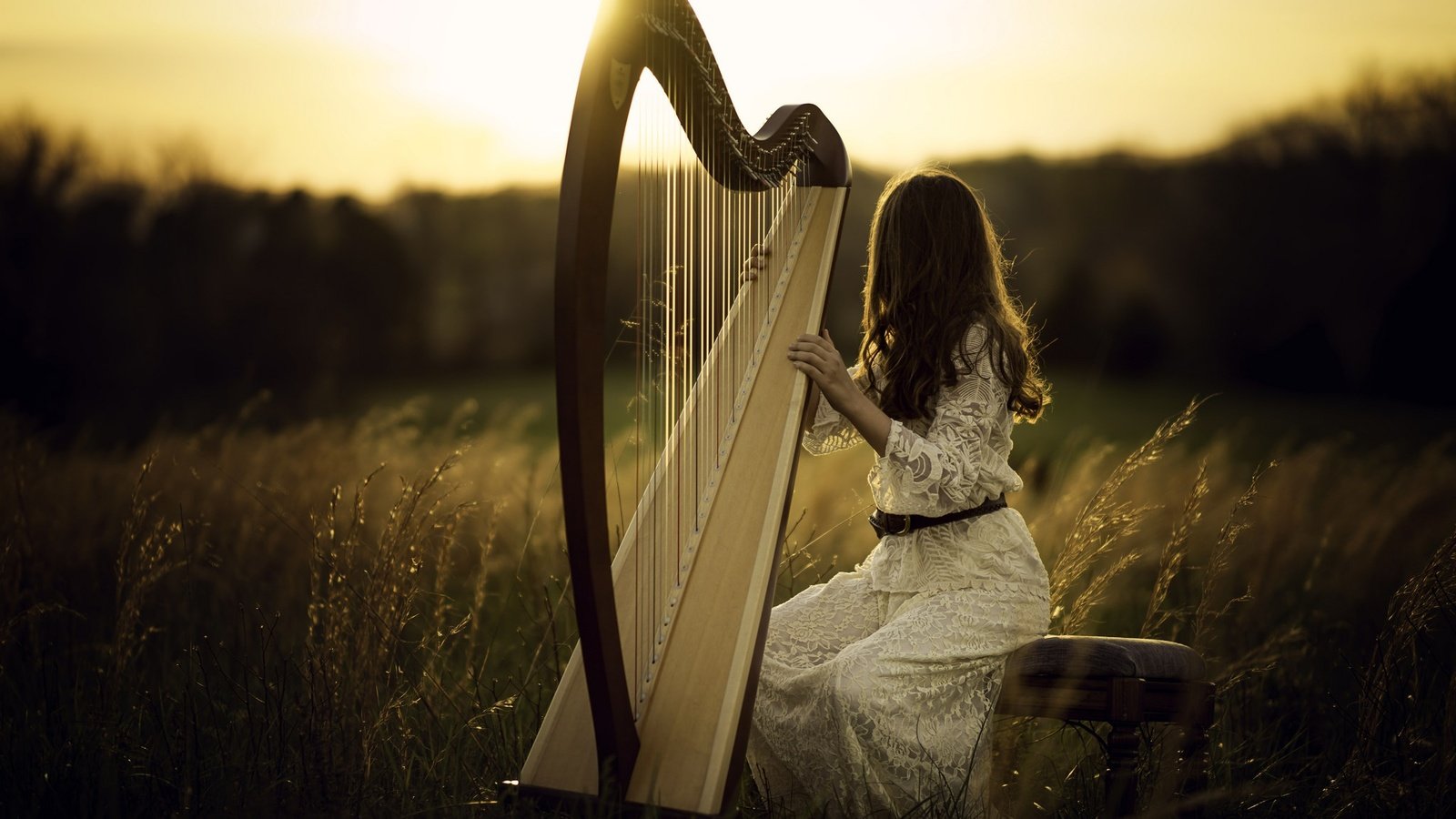 Обои свет, природа, девушка, поле, волосы, арфа, light, nature, girl, field, hair, harp разрешение 2048x1365 Загрузить