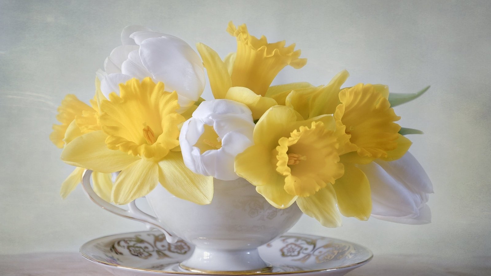 Обои цветы, блюдце, букет, тюльпаны, чашка, нарциссы, flowers, saucer, bouquet, tulips, cup, daffodils разрешение 2048x1434 Загрузить