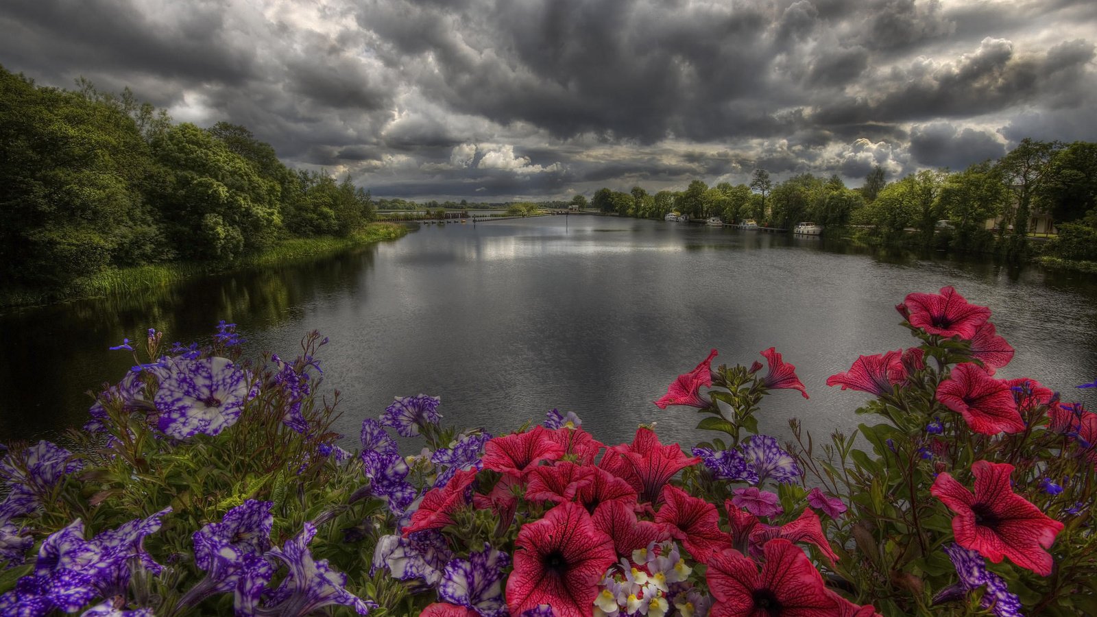 Обои цветы, деревья, река, берег, закат, тучи, пейзаж, flowers, trees, river, shore, sunset, clouds, landscape разрешение 2048x1365 Загрузить