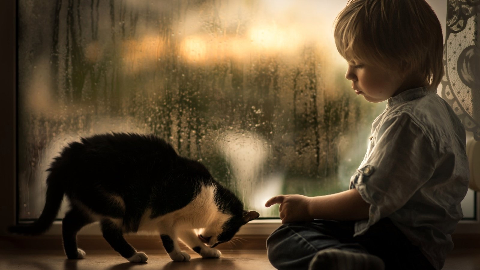 Обои капли, малыш, котенок, подоконник, дети, iwona podlasinska, дождь, ребенок, окно, мальчик, животное, drops, baby, kitty, sill, children, rain, child, window, boy, animal разрешение 2048x1463 Загрузить