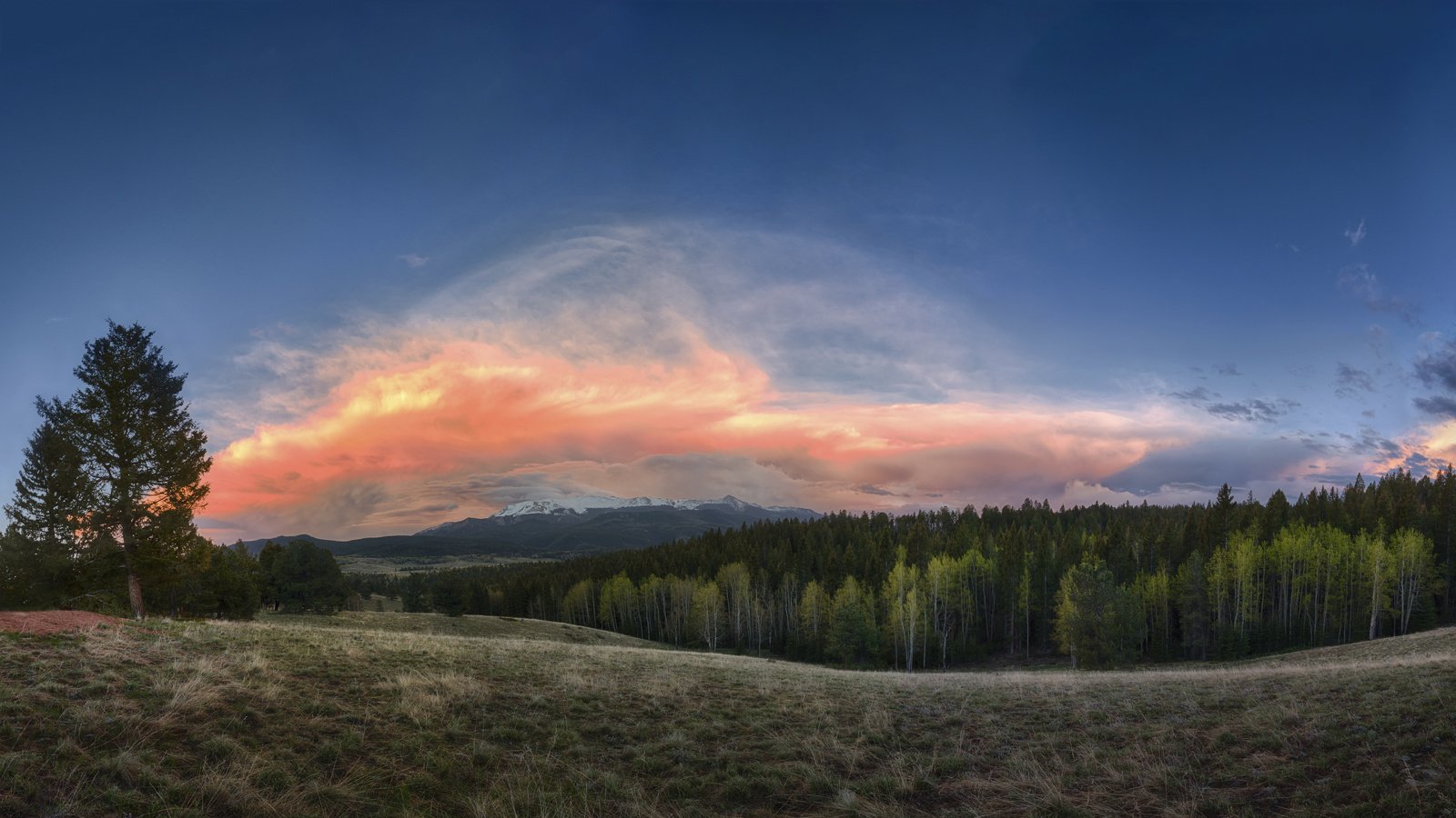 Обои небо, облака, деревья, природа, лес, пейзаж, the sky, clouds, trees, nature, forest, landscape разрешение 7680x4320 Загрузить