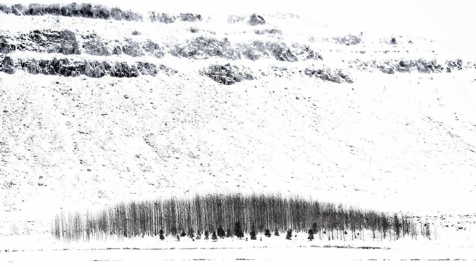 Обои деревья, снег, зима, исландия, trees, snow, winter, iceland разрешение 5247x3498 Загрузить