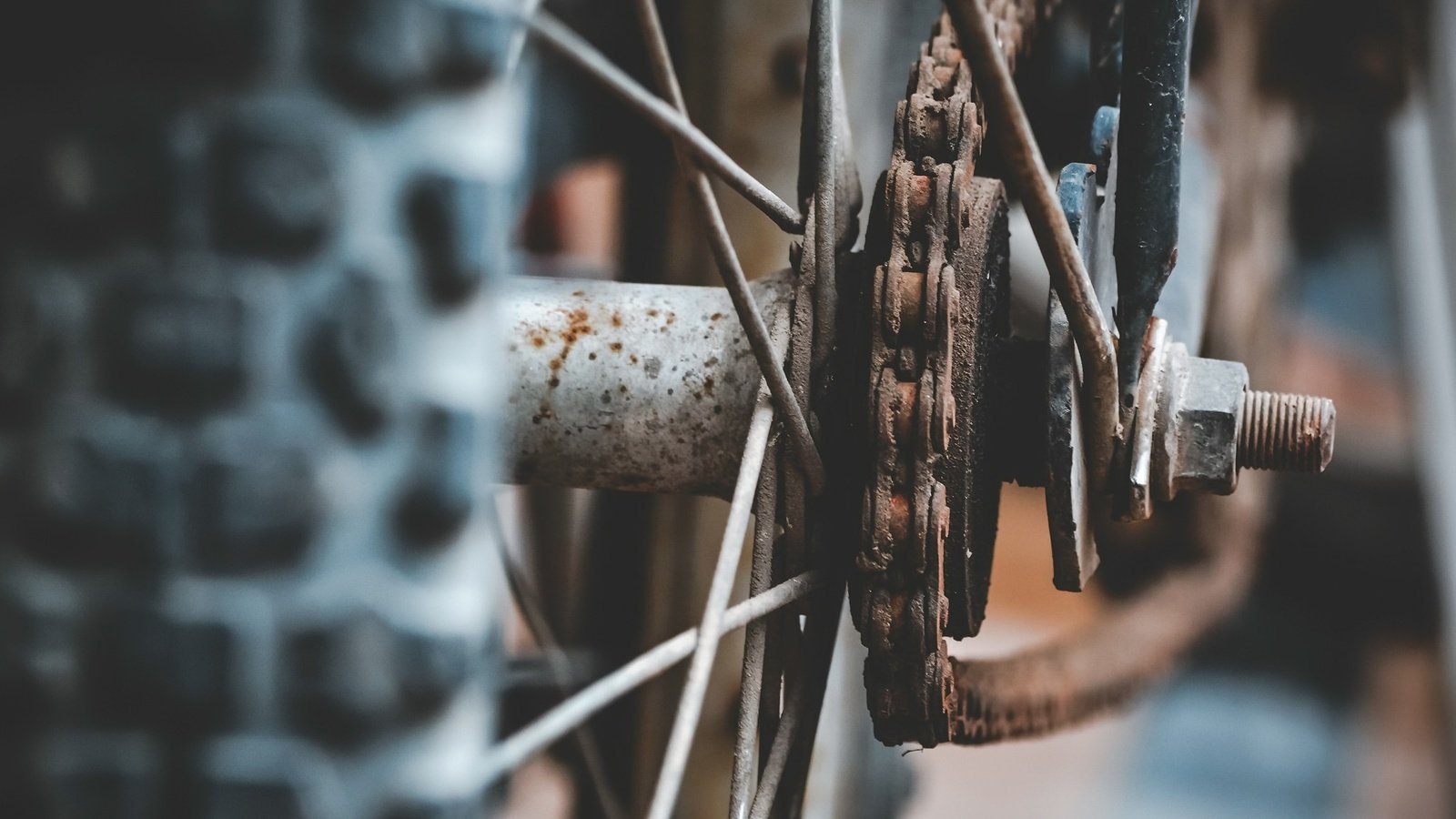 Обои колесо, цепь, велосипед, ржавчина, спицы, wheel, chain, bike, rust, spokes разрешение 2048x1365 Загрузить
