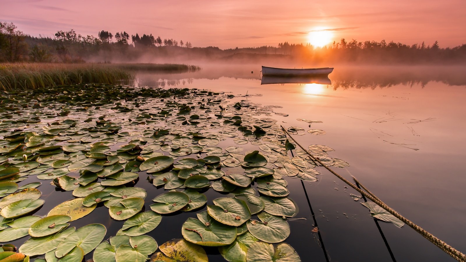 Обои озеро, солнце, утро, туман, горизонт, лодка, lake, the sun, morning, fog, horizon, boat разрешение 5184x2916 Загрузить