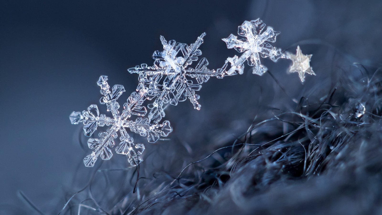 Обои макро, снежинки, фон, снежинка, кристаллы, macro, snowflakes, background, snowflake, crystals разрешение 2560x1707 Загрузить