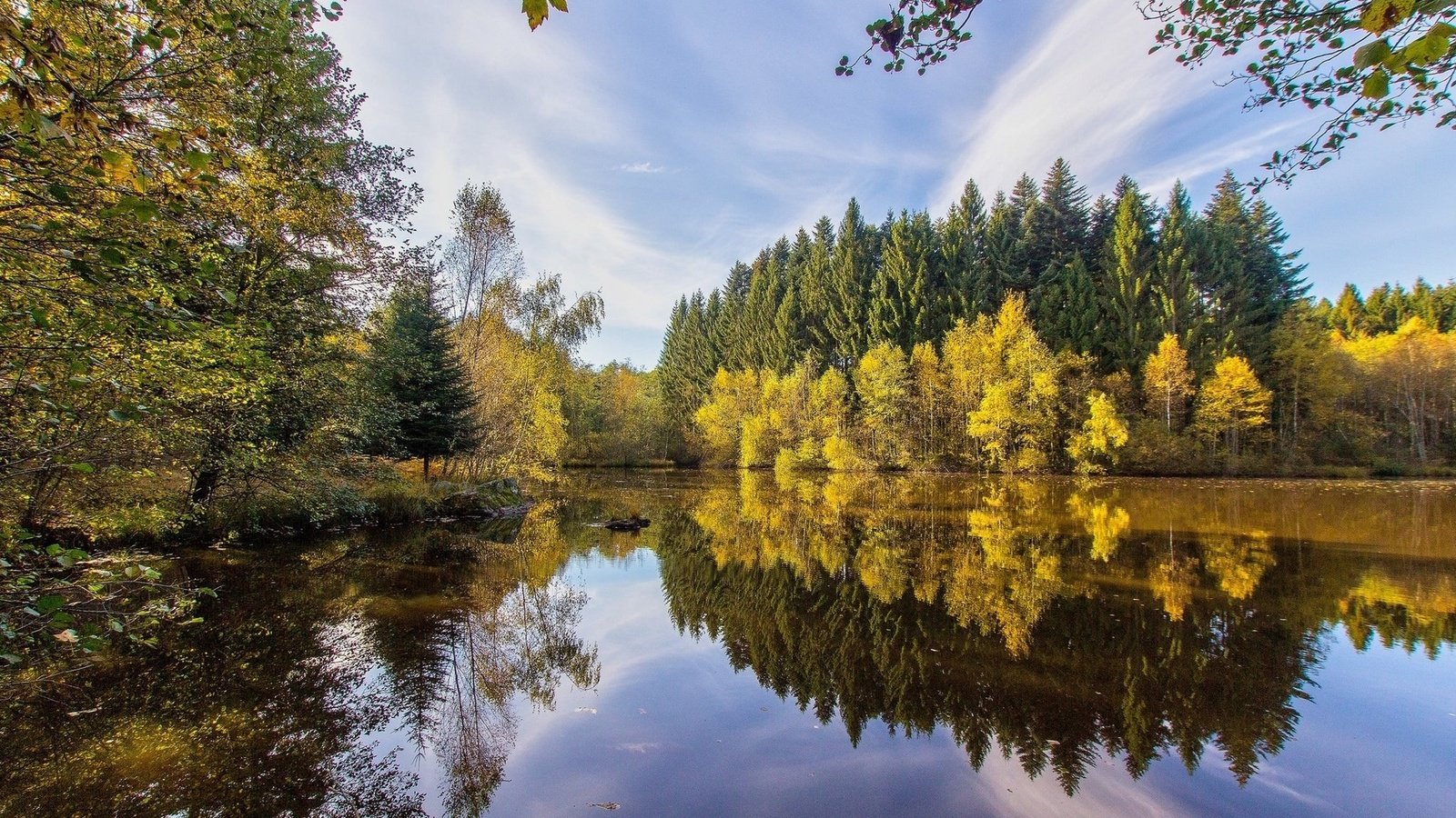 Обои небо, озеро, река, лес, the sky, lake, river, forest разрешение 1920x1200 Загрузить