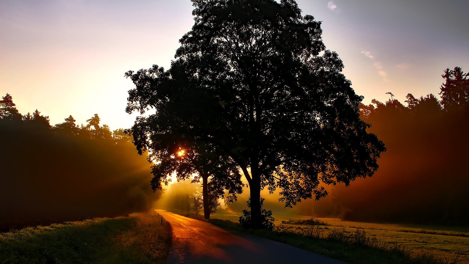 Обои дорога, природа, дерево, пейзаж, утро, рассвет, road, nature, tree, landscape, morning, dawn разрешение 1920x1200 Загрузить