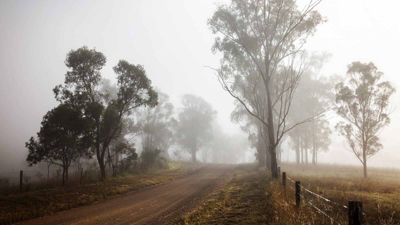 Обои дорога, деревья, природа, туман, забор, road, trees, nature, fog, the fence разрешение 1920x1200 Загрузить