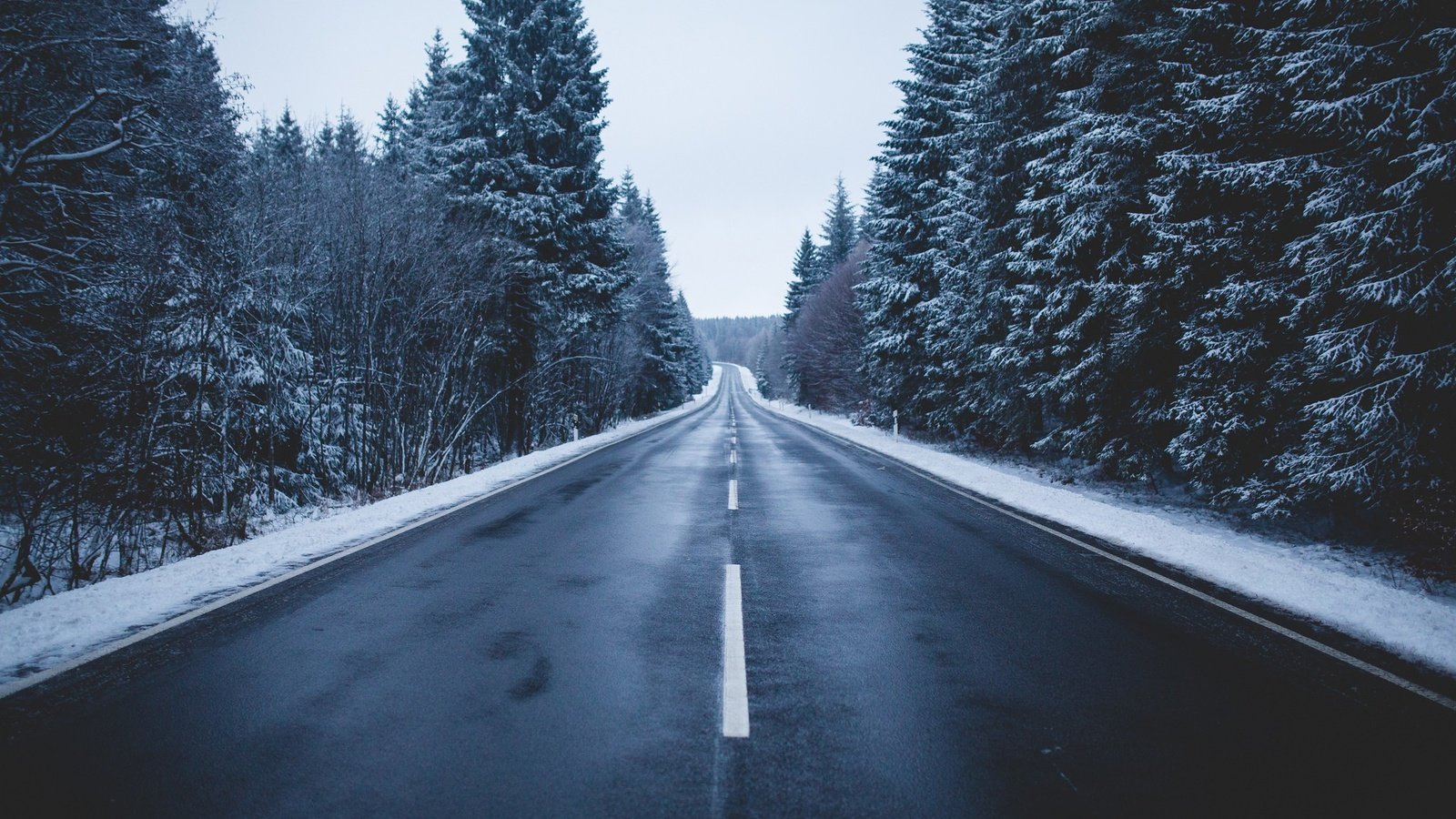 Обои дорога, деревья, природа, зима, road, trees, nature, winter разрешение 2048x1365 Загрузить