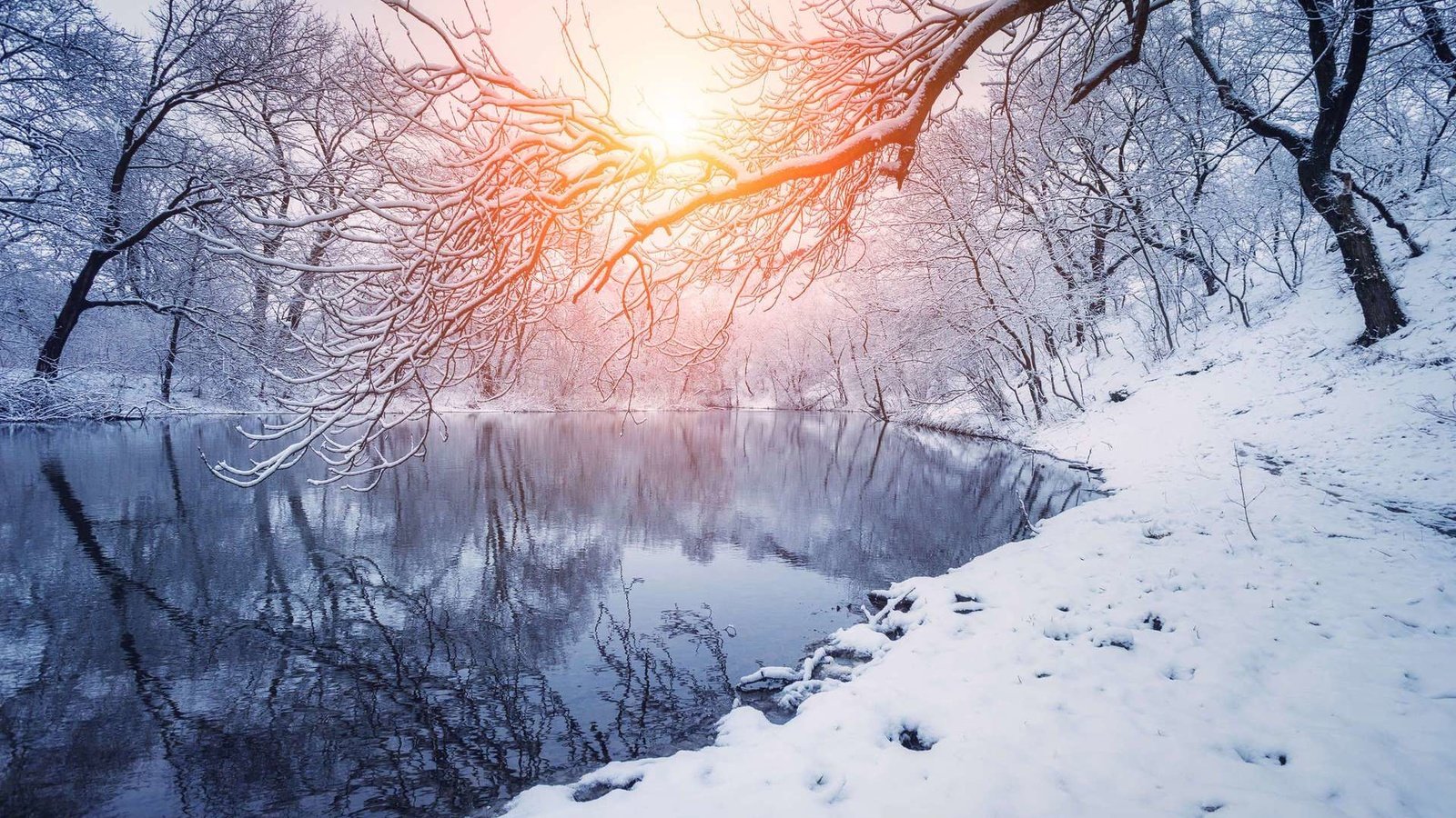 Обои деревья, река, снег, закат, зима, отражение, ветки, trees, river, snow, sunset, winter, reflection, branches разрешение 1920x1200 Загрузить