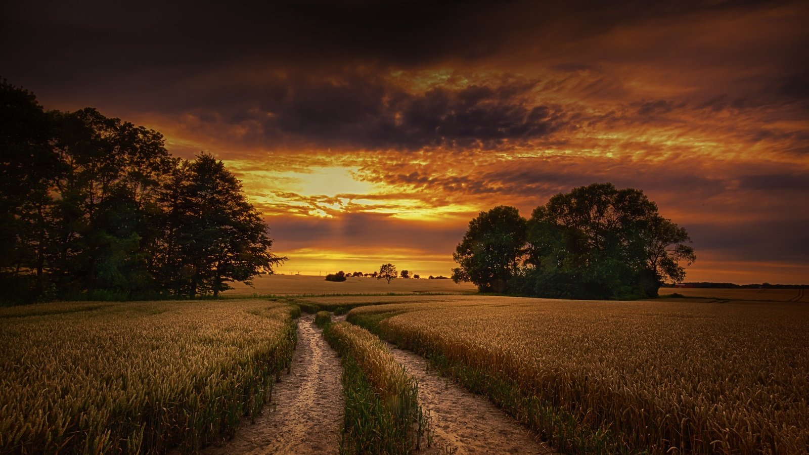 Обои небо, дорога, облака, деревья, природа, закат, поле, горизонт, the sky, road, clouds, trees, nature, sunset, field, horizon разрешение 2048x1364 Загрузить