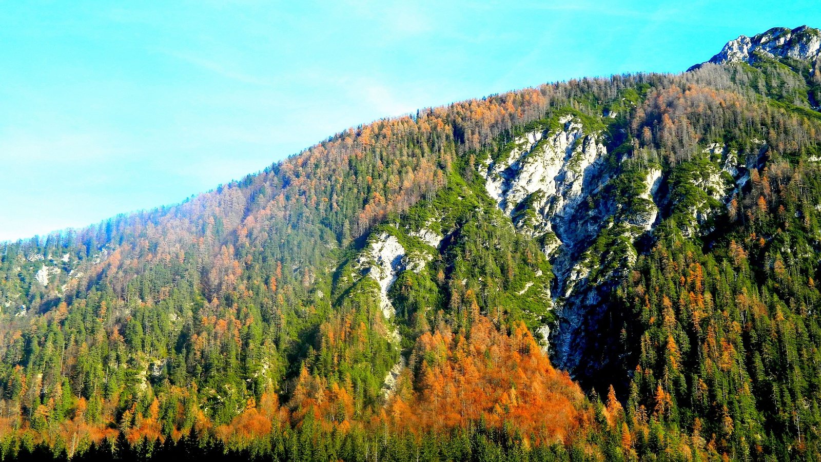 Обои деревья, горы, лес, осень, trees, mountains, forest, autumn разрешение 4224x2376 Загрузить