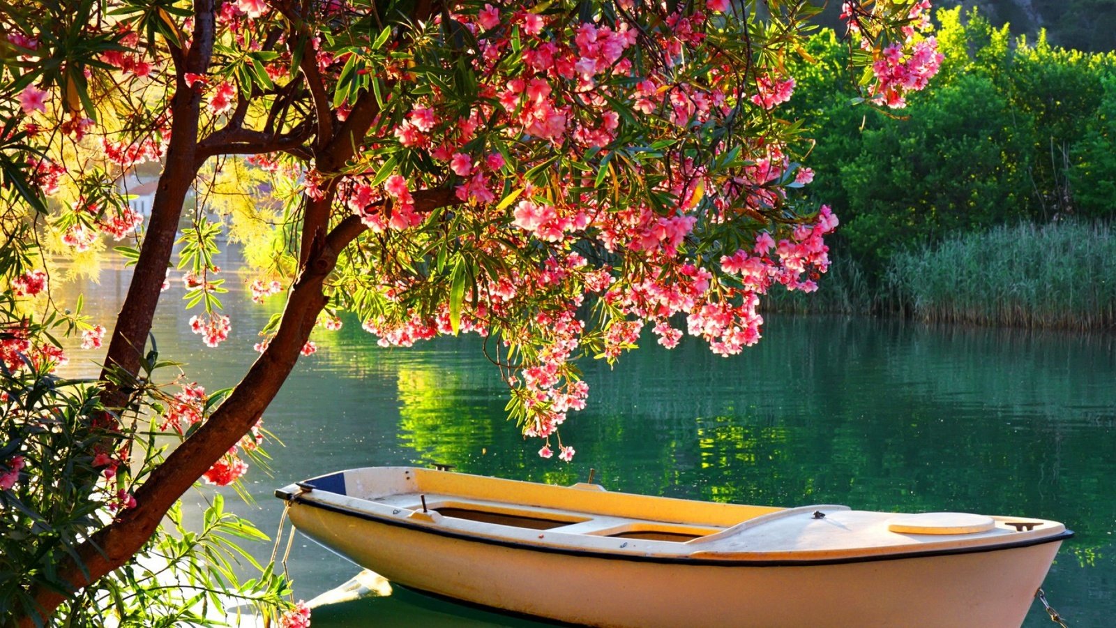 Обои деревья, река, цветение, отражение, лодка, лодка на озере, trees, river, flowering, reflection, boat, boat on the lake разрешение 1920x1080 Загрузить