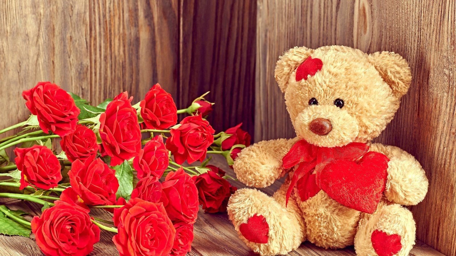 Обои цветы, валентинов день, розы, мишка, любовь, букет, тедди, подарок, плюшевый медведь, flowers, valentine's day, roses, bear, love, bouquet, teddy, gift, teddy bear разрешение 6000x4000 Загрузить