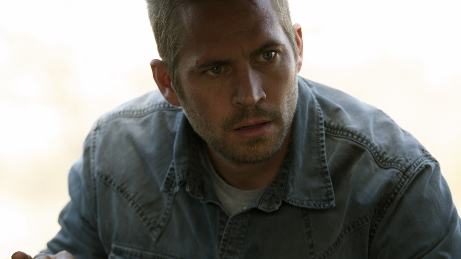 Обои портрет, взгляд, актёр, лицо, мужчина, пол уокер, portrait, look, actor, face, male, paul walker разрешение 5184x3456 Загрузить