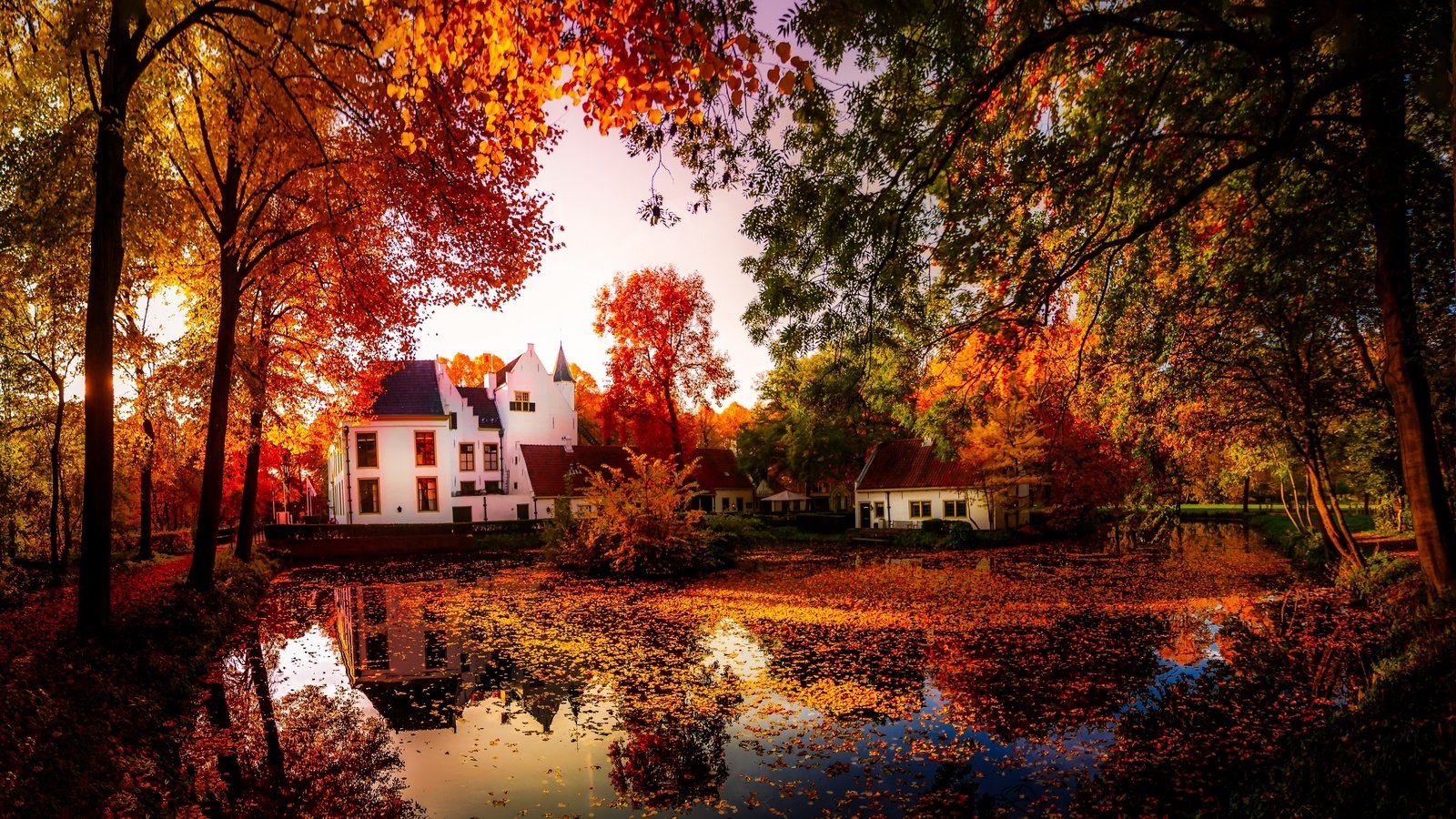 Обои деревья, природа, отражение, осень, дома, пруд, trees, nature, reflection, autumn, home, pond разрешение 3641x2048 Загрузить