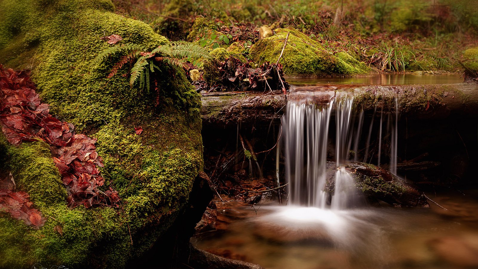 Обои река, природа, ручей, водопад, швейцария, мох, папоротник, river, nature, stream, waterfall, switzerland, moss, fern разрешение 1920x1200 Загрузить