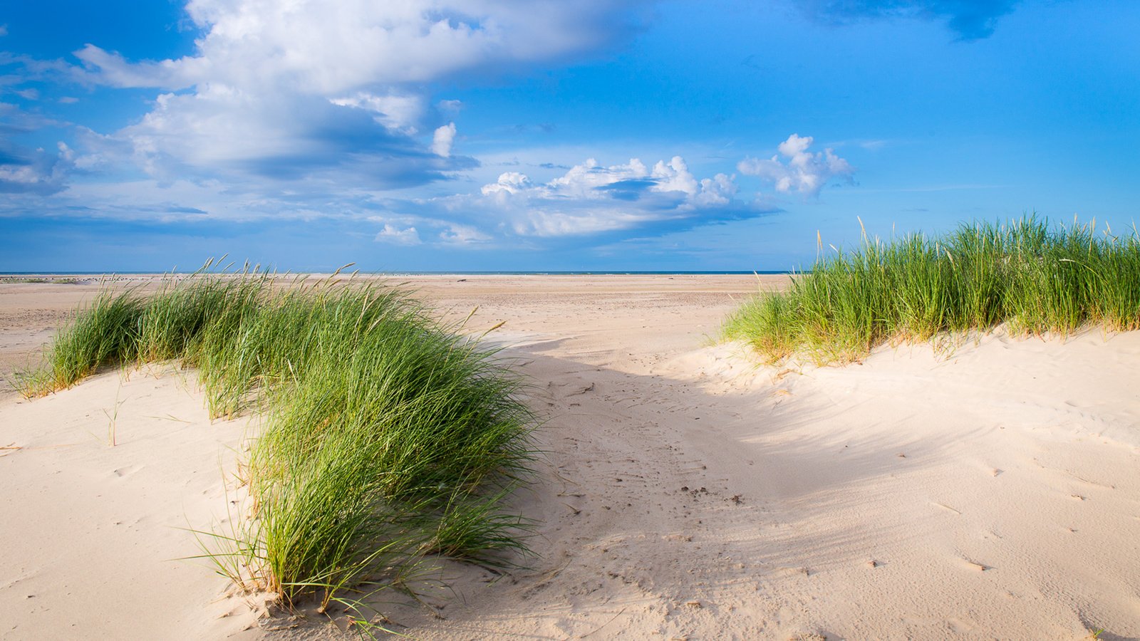 Обои небо, трава, облака, пейзаж, песок, дюны, the sky, grass, clouds, landscape, sand, dunes разрешение 1920x1200 Загрузить