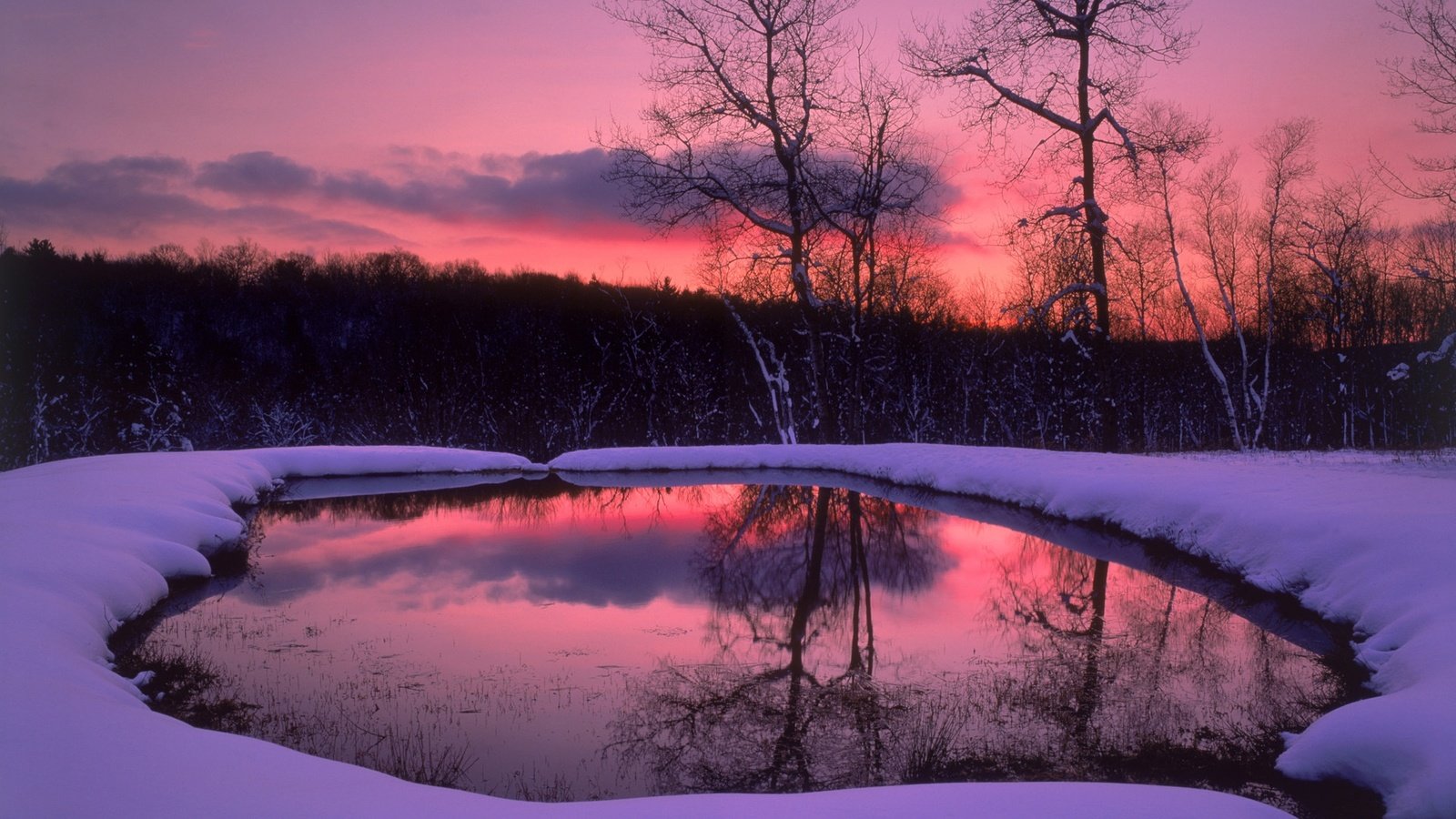 Обои деревья, вечер, озеро, снег, лес, зима, отражение, trees, the evening, lake, snow, forest, winter, reflection разрешение 1920x1080 Загрузить