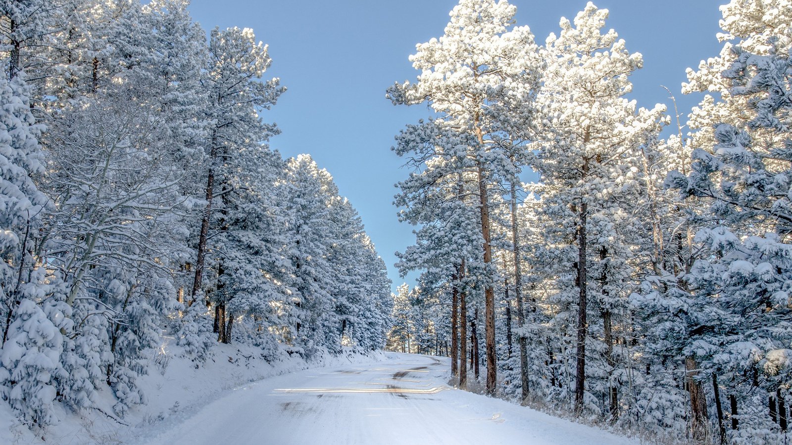 Обои небо, дорога, снег, природа, зима, сша, колорадо,     деревья, the sky, road, snow, nature, winter, usa, colorado, trees разрешение 2000x1379 Загрузить