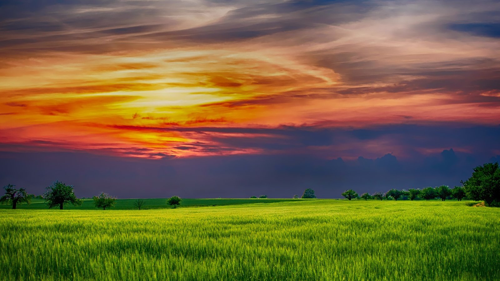 Обои облака, природа, закат, поле, горизонт, clouds, nature, sunset, field, horizon разрешение 4831x2548 Загрузить