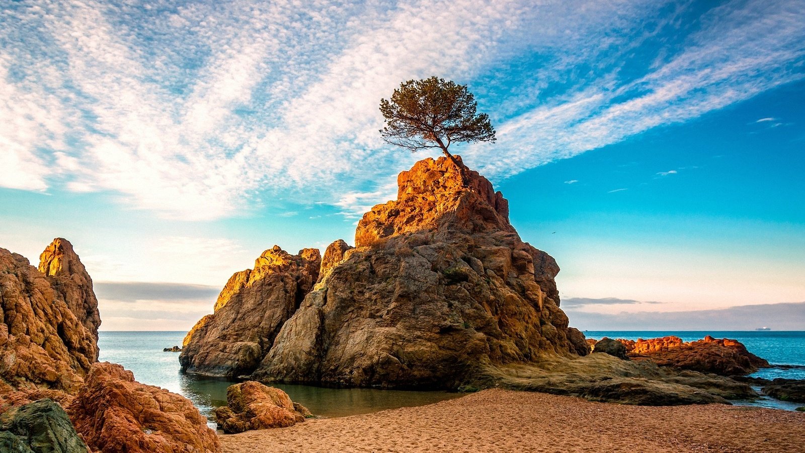 Обои вода, дерево, лучи, море, скала, рассвет, water, tree, rays, sea, rock, dawn разрешение 1920x1200 Загрузить