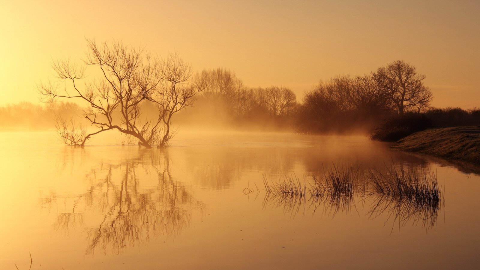 Обои река, природа, пейзаж, утро, туман, рассвет, river, nature, landscape, morning, fog, dawn разрешение 1920x1200 Загрузить