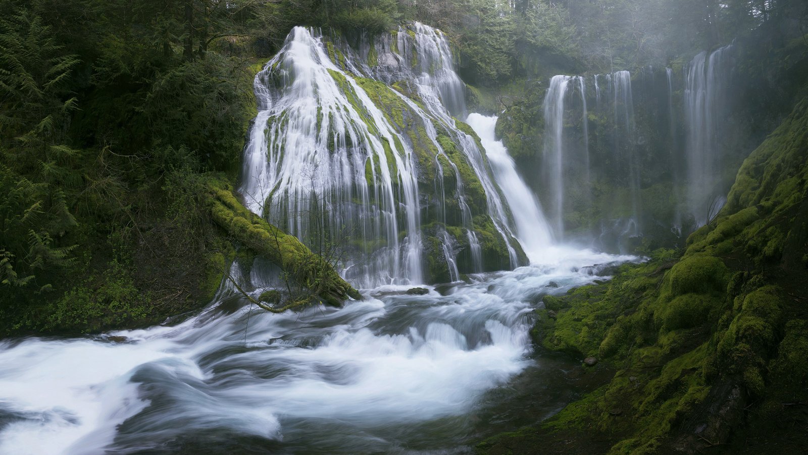 Обои деревья, вода, река, природа, лес, пейзаж, водопад, мох, trees, water, river, nature, forest, landscape, waterfall, moss разрешение 2560x1600 Загрузить