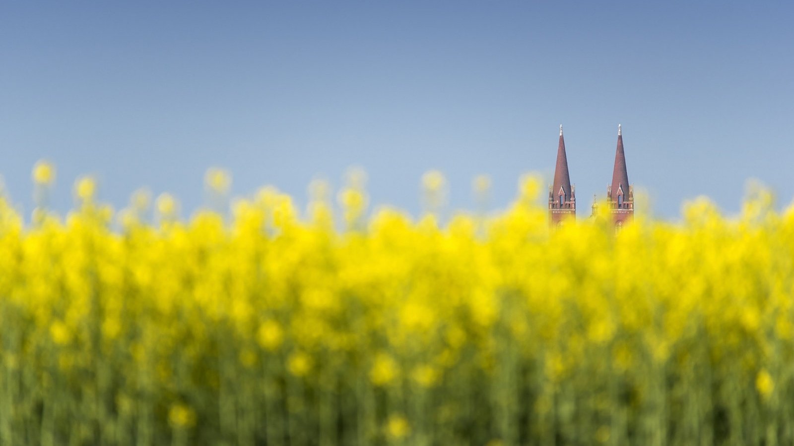 Обои цветы, природа, башни, хорватия, дьяково, flowers, nature, tower, croatia, djakovo разрешение 1920x1200 Загрузить