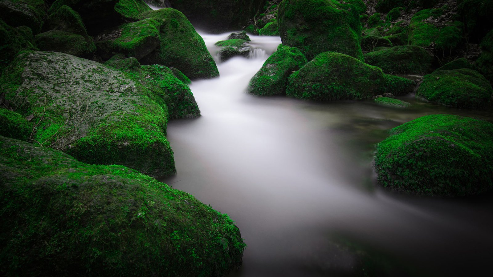 Обои вода, река, природа, камни, мох, water, river, nature, stones, moss разрешение 1920x1200 Загрузить