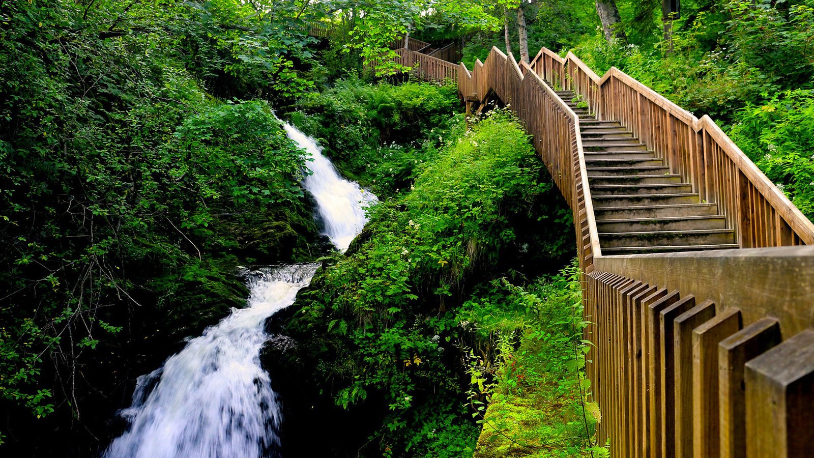 Обои лестница, водопад, поток, ущелье, норвегия, тронхейм, edoardo trabace, hiking in bymarka, ladder, waterfall, stream, gorge, norway, trondheim разрешение 1920x1200 Загрузить