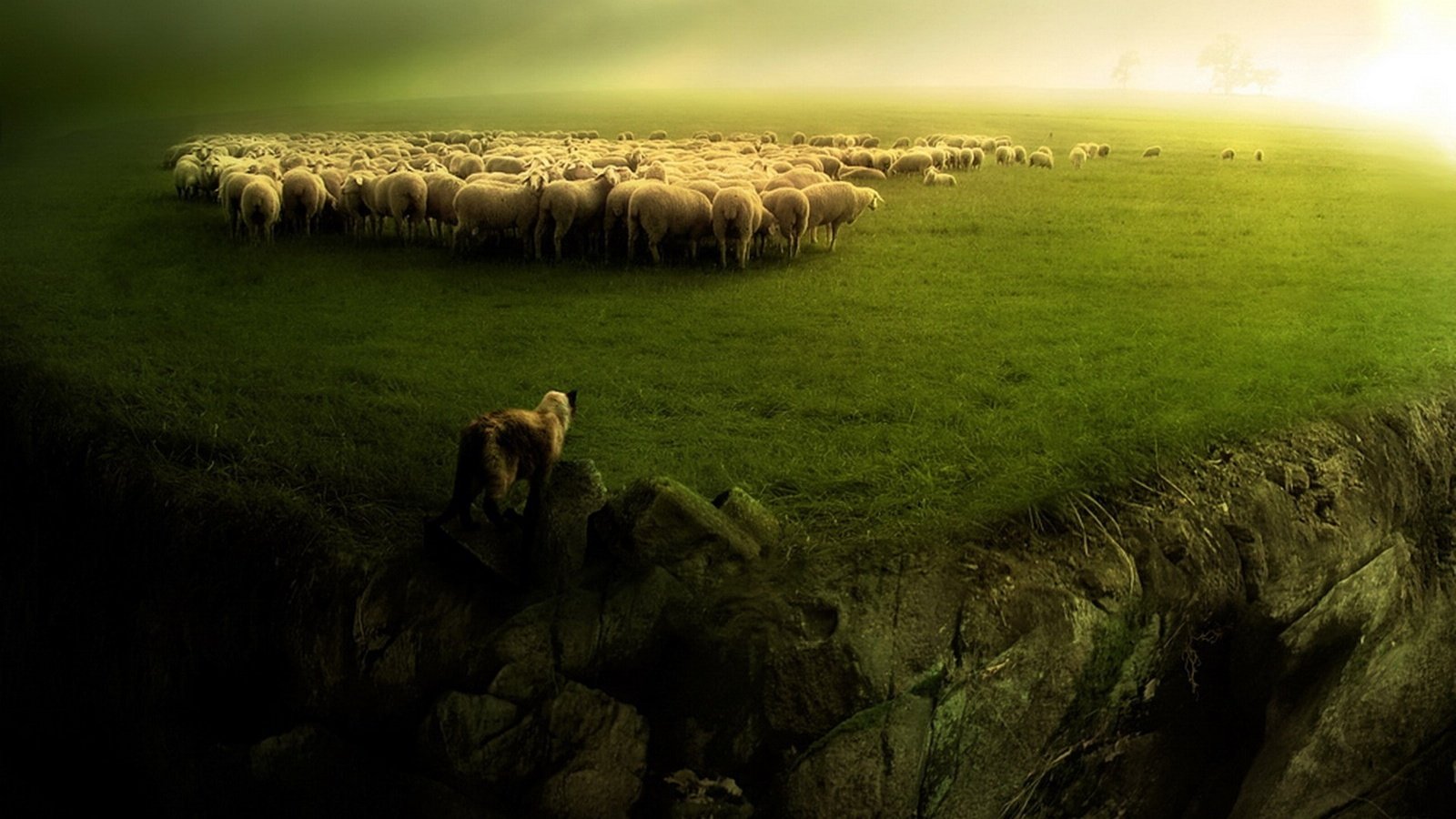 Обои зелень, пейзаж, собака, овцы, стадо, пастух, бараны, greens, landscape, dog, sheep, the herd, shepherd разрешение 1920x1080 Загрузить