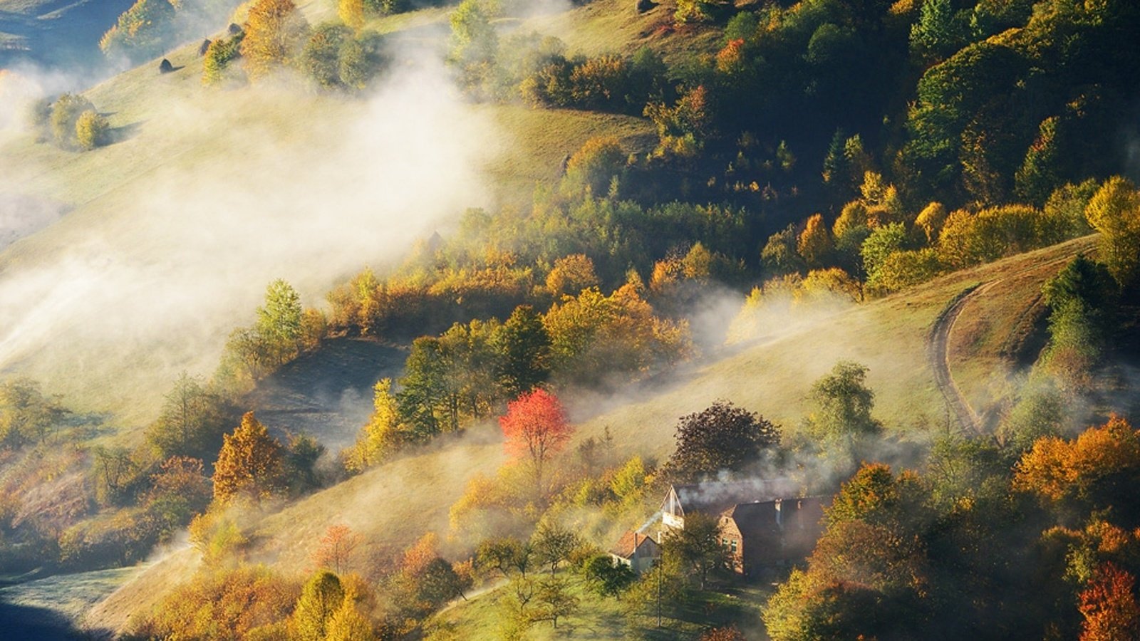 Обои дорога, деревья, холмы, лес, туман, осень, дома, stefan chirobocea, road, trees, hills, forest, fog, autumn, home разрешение 1920x1280 Загрузить