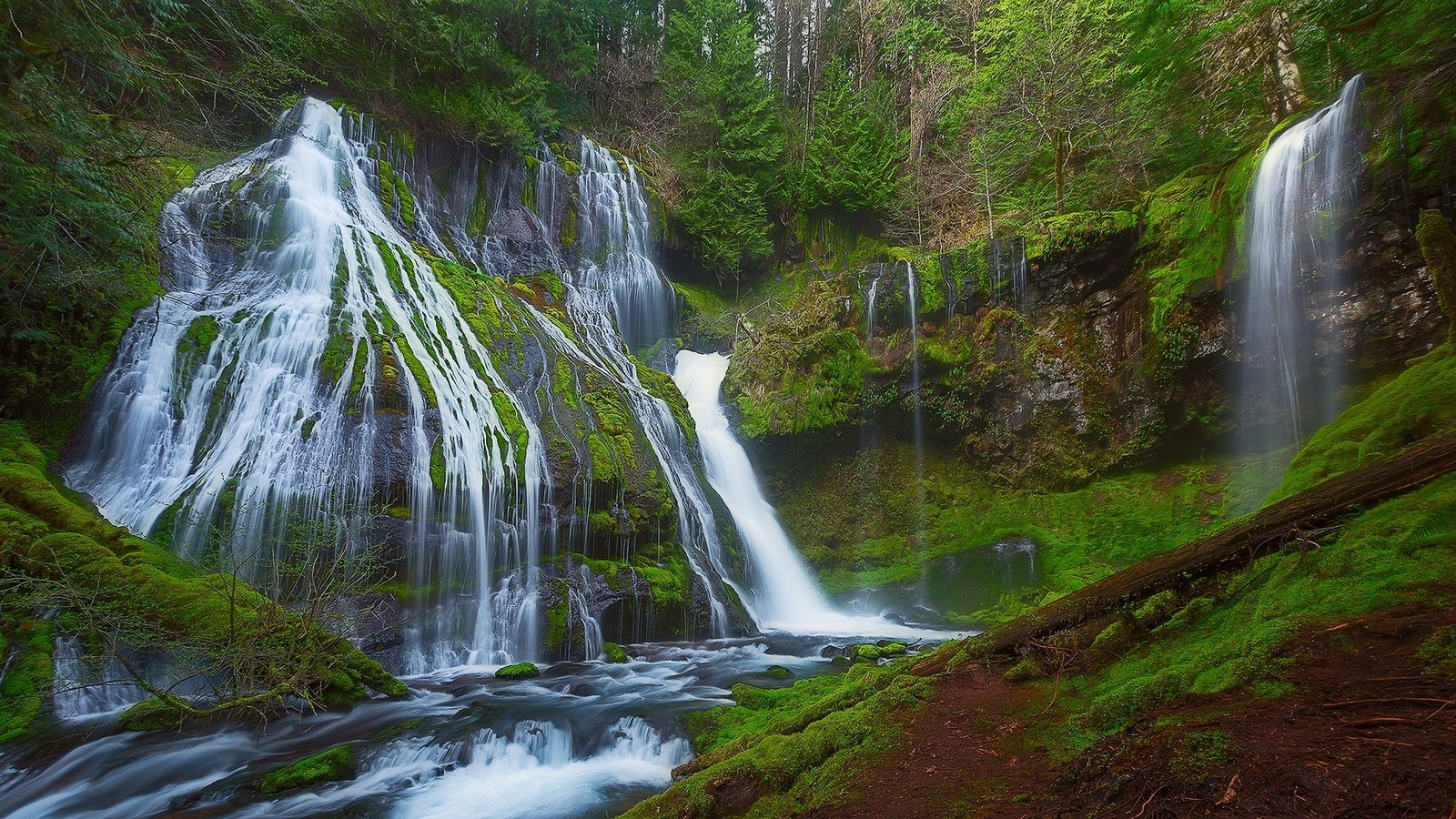 Обои деревья, природа, лес, водопад, panther creek falls, gifford pinchot национальный лес, trees, nature, forest, waterfall, gifford pinchot national forest разрешение 2048x1128 Загрузить