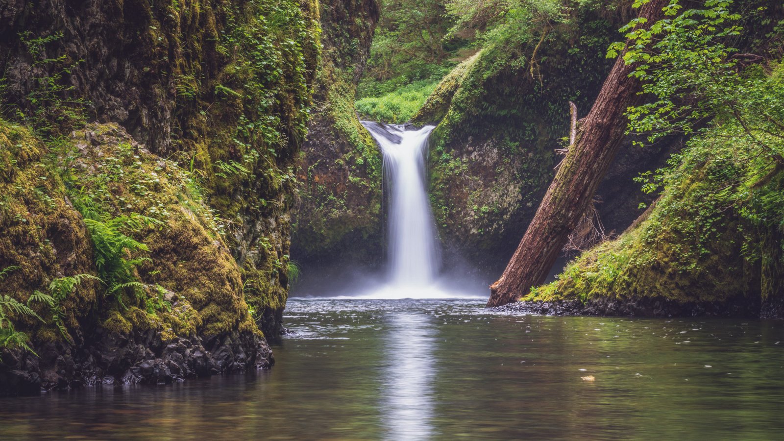 Обои вода, punchbowl falls, columbia river gorge, река, природа, растения, лес, водопад, поток, джунгли, water, river, nature, plants, forest, waterfall, stream, jungle разрешение 2000x1333 Загрузить