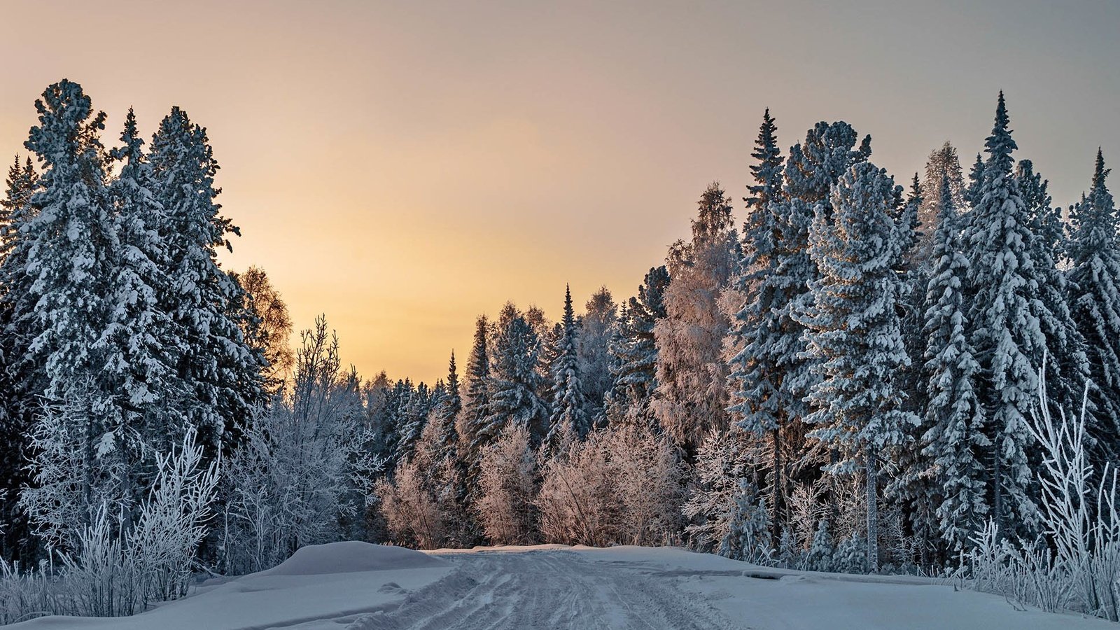 Обои дорога, деревья, снег, природа, лес, зима, road, trees, snow, nature, forest, winter разрешение 1936x1296 Загрузить