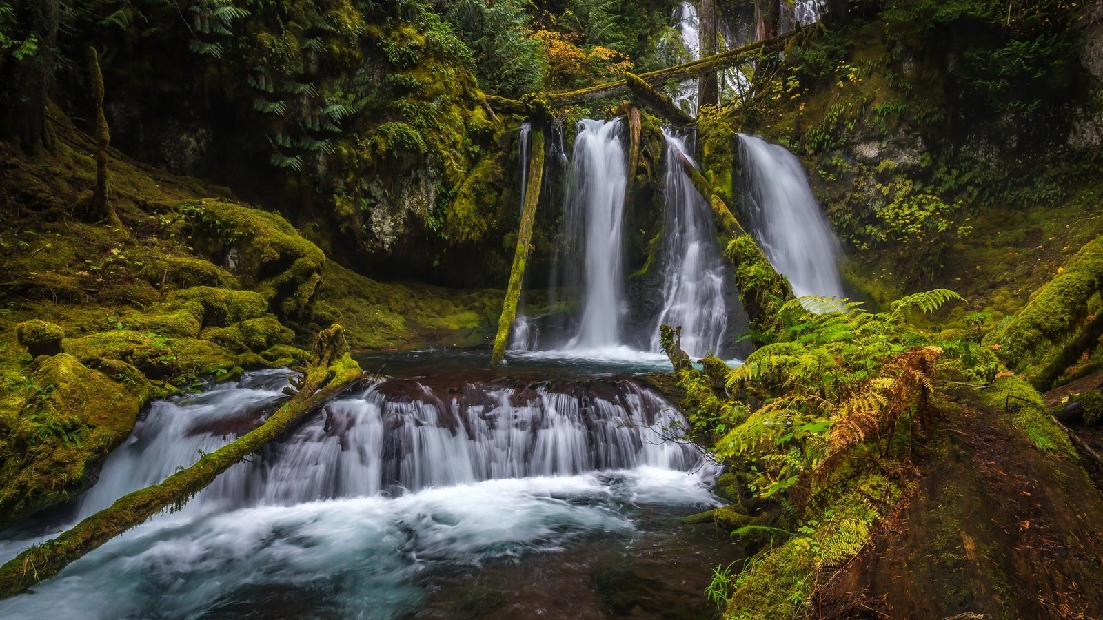 Обои природа, парк, водопад, сша, мох, водопады, silver falls state park, nature, park, waterfall, usa, moss, waterfalls разрешение 2880x1800 Загрузить