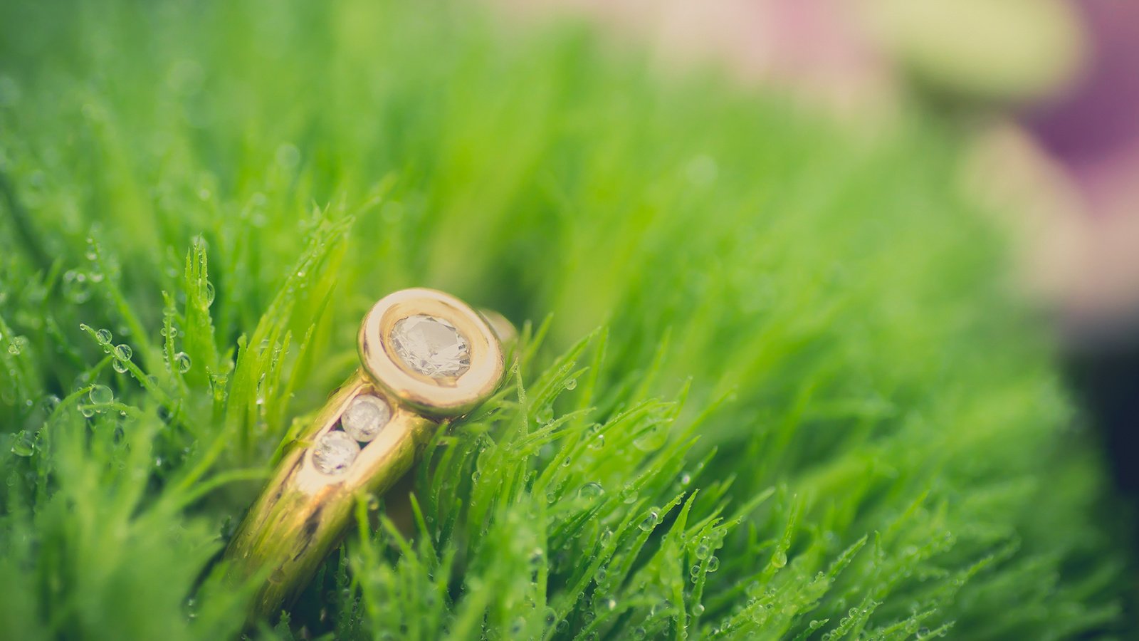 Обои трава, капли, кольцо, grass, drops, ring разрешение 1920x1200 Загрузить