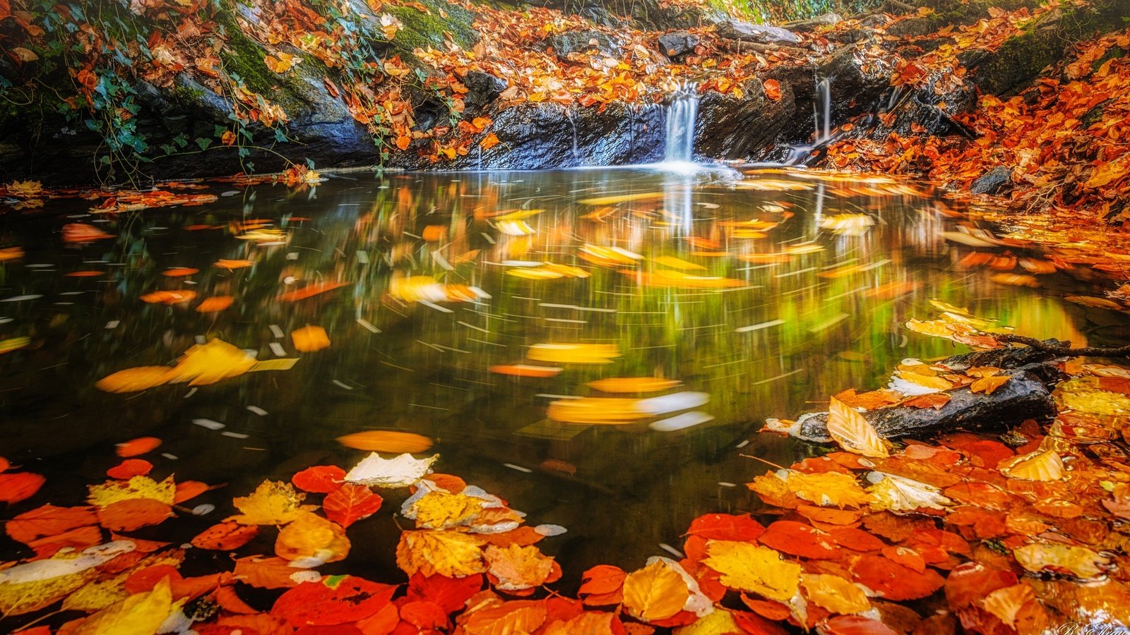 Обои вода, листья, водопад, осень, поток, water, leaves, waterfall, autumn, stream разрешение 2048x1198 Загрузить