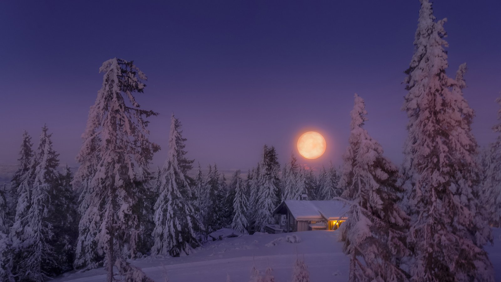 Обои небо, свет, деревья, снег, лес, зима, луна, дом, the sky, light, trees, snow, forest, winter, the moon, house разрешение 1920x1200 Загрузить