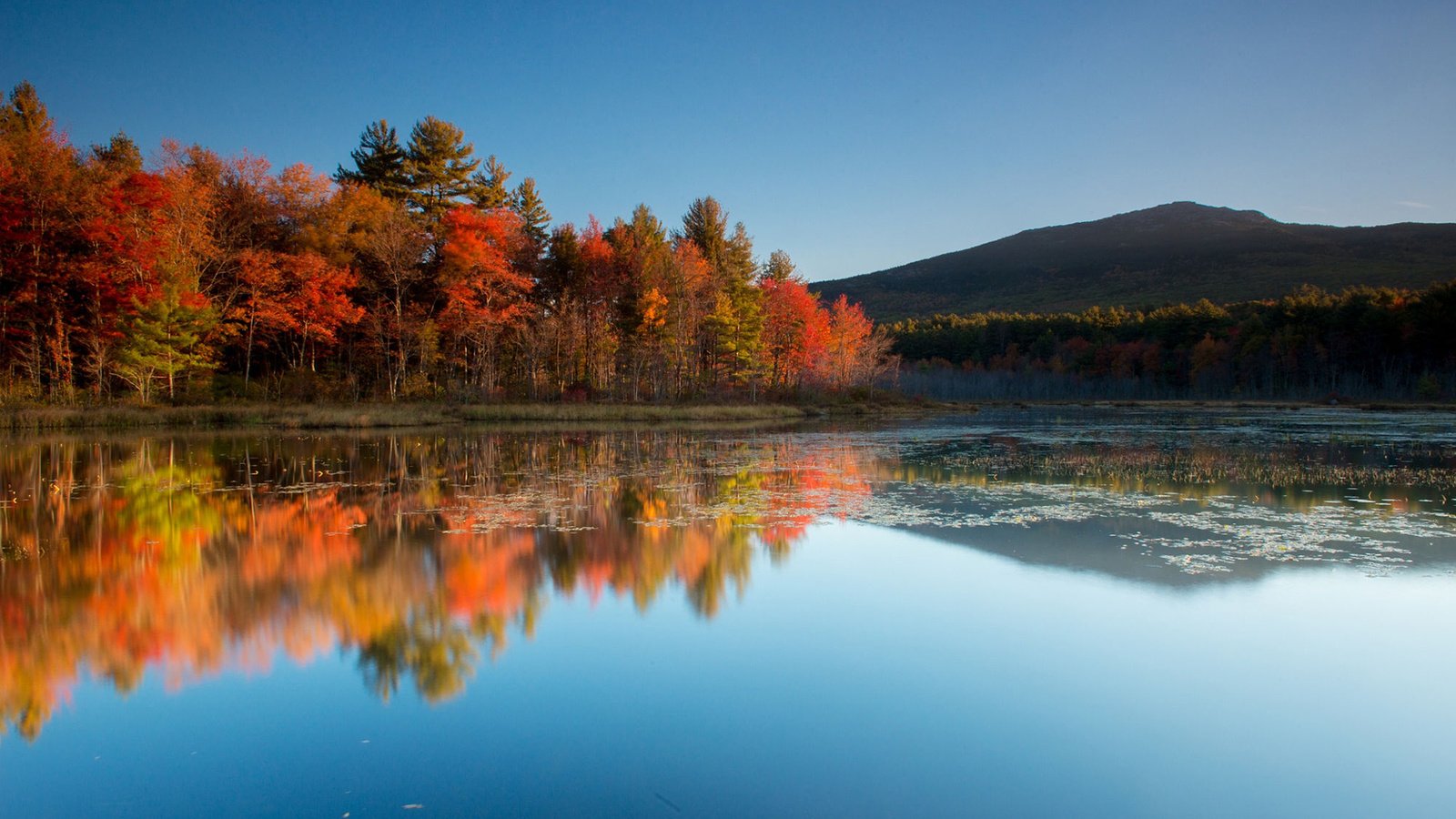 Обои небо, деревья, озеро, горы, природа, отражение, осень, the sky, trees, lake, mountains, nature, reflection, autumn разрешение 1920x1200 Загрузить