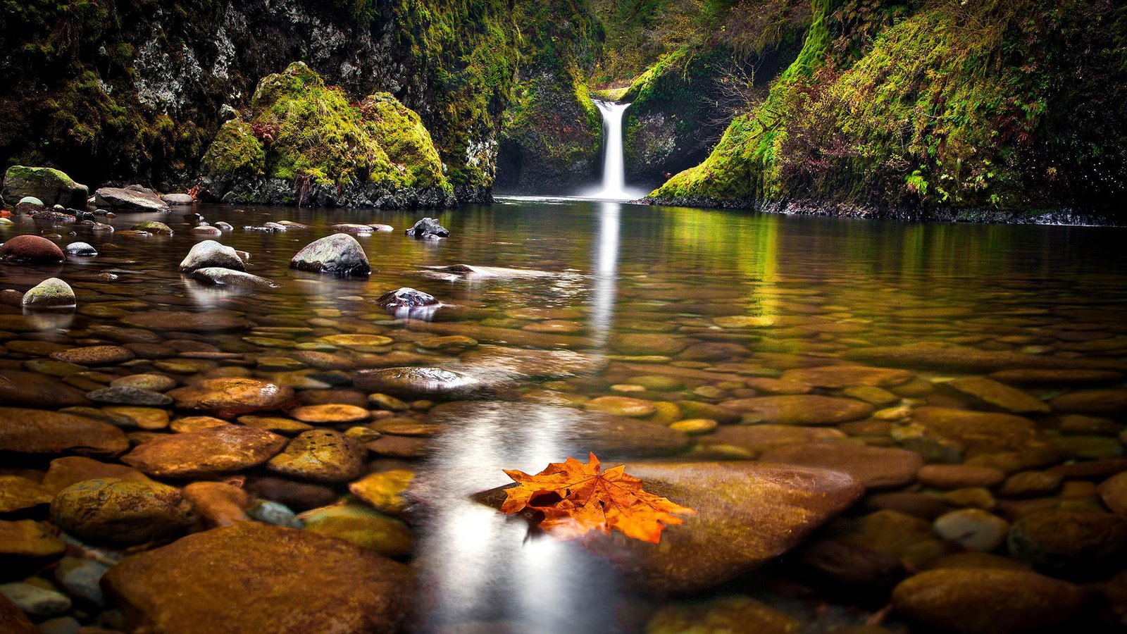 Обои озеро, природа, камни, лес, водопад, осень, дно, lake, nature, stones, forest, waterfall, autumn, the bottom разрешение 1920x1200 Загрузить