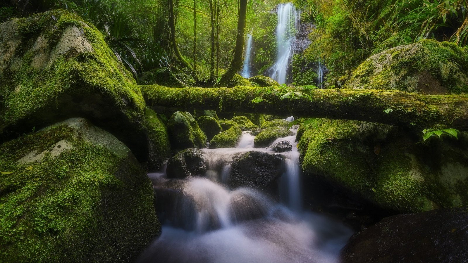 Обои река, бревно, природа, chalahn falls, elabana falls, камни, lamington national park, лес, ручей, водопад, мох, австралия, river, log, nature, stones, forest, stream, waterfall, moss, australia разрешение 1920x1200 Загрузить