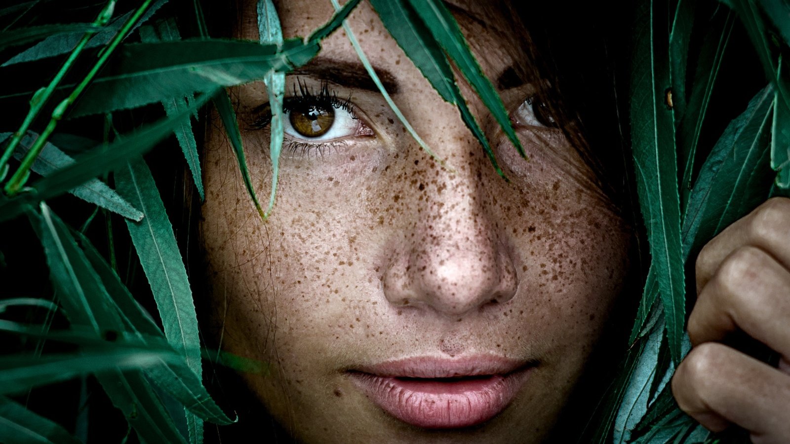 Обои листья, девушка, портрет, лицо, веснушки, алина, alina batrak, yuri leo, leaves, girl, portrait, face, freckles, alina разрешение 2048x1372 Загрузить