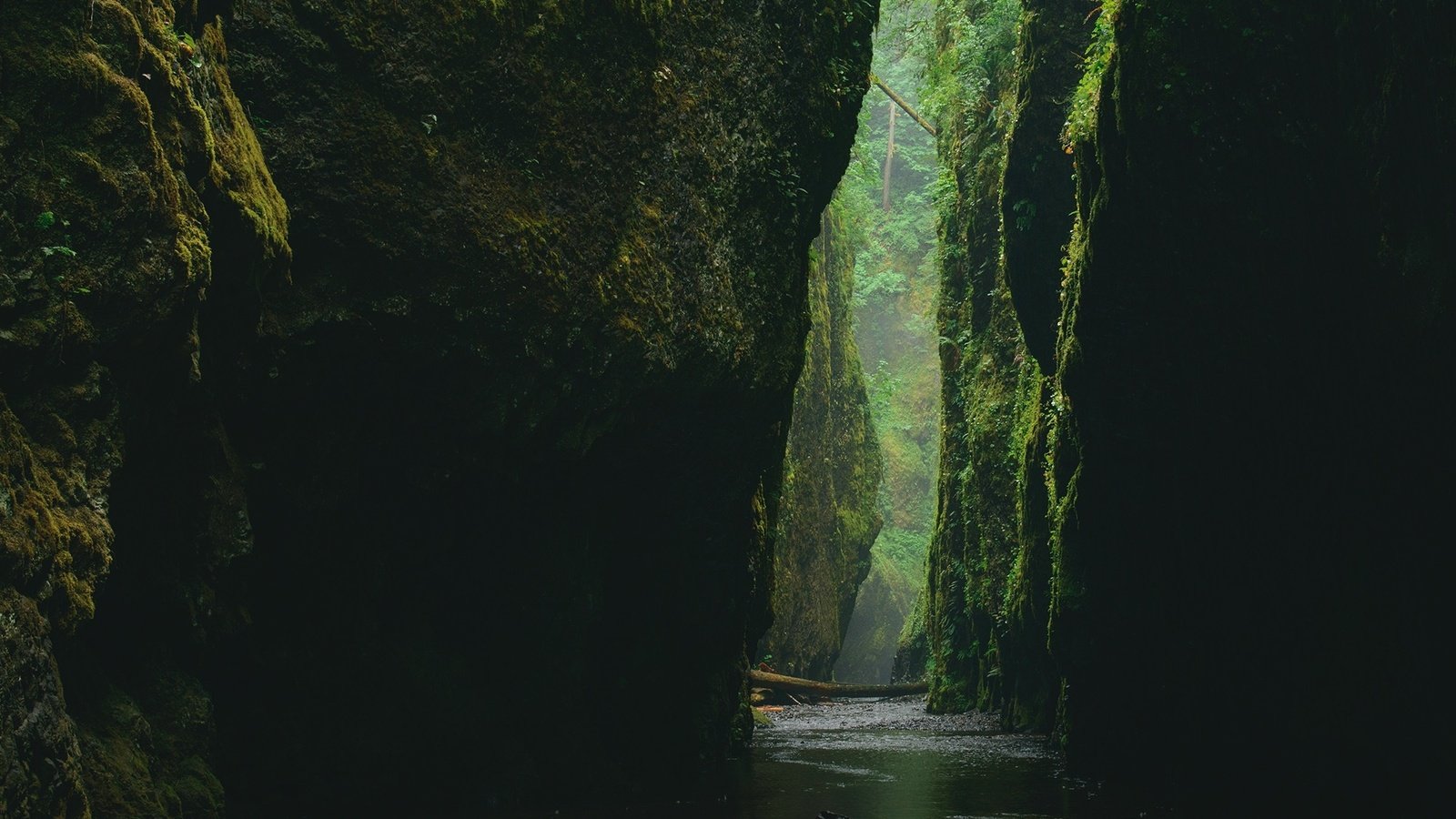 Обои вода, камни, каньон, ущелье, мох, water, stones, canyon, gorge, moss разрешение 2000x1500 Загрузить